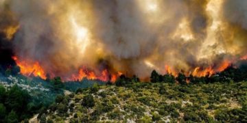 Bumi dalam Ancaman Bencana Iklim Ekstrem akibat Emisi Karbon