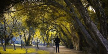 Mitigasi Bencana Iklim, Pakistan Tanam 10 Miliar Pohon