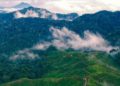 KLHK Gandeng Petani Perkuat Konservasi TN Gunung Halimun Salak