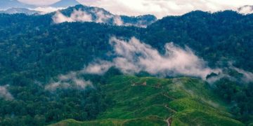 KLHK Gandeng Petani Perkuat Konservasi TN Gunung Halimun Salak