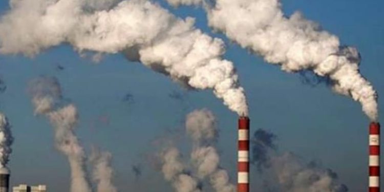 World Bank Dukung Penuh Perdagangan Karbon di Indonesia