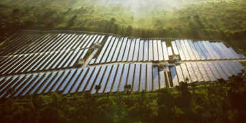 Tekan Emisi Karbon, Indonesia Fokus Kembangkan PLTS Skala Besar