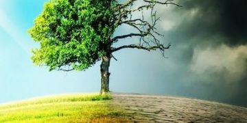 ADB Serukan Asia Pasifik Bertindak Cepat Atasi Perubahan Iklim