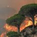 Gelombang Panas di Mediterania Memicu Kebakaran Hutan di Sisilia, Italia