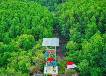 Indonesia Bangun 4 Pusat Restorasi dan Pengembangan Ekosistem Pesisir