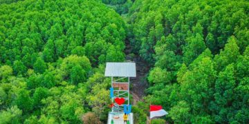 Indonesia Bangun 4 Pusat Restorasi dan Pengembangan Ekosistem Pesisir