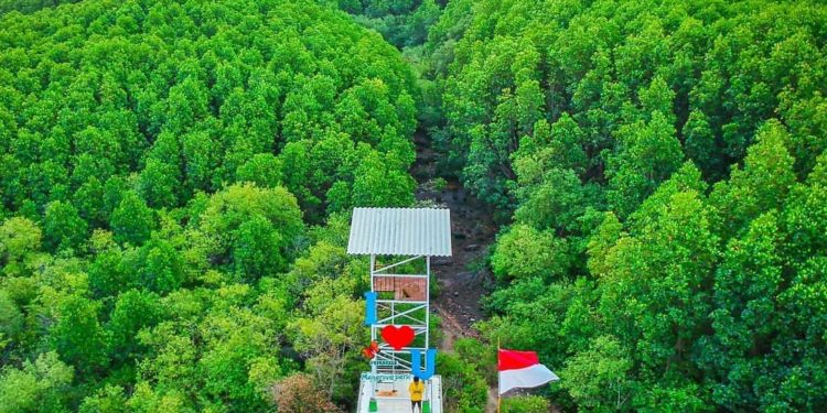 Indonesia Bangun 4 Pusat Restorasi dan Pengembangan Ekosistem Pesisir