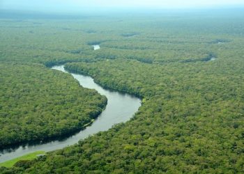 Cegah Eksplorasi Minyak, UNESCO Apresiasi Konservasi Taman Nasional Salonga