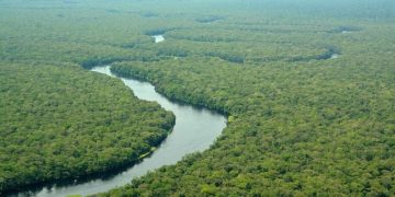 Cegah Eksplorasi Minyak, UNESCO Apresiasi Konservasi Taman Nasional Salonga