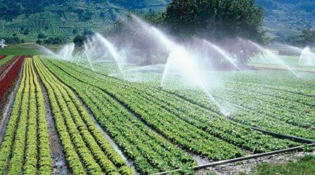 Hari ini, Senin (16/10/2023) diperingati sebagai Hari Pangan Sedunia. Terkait hal itu, Organisasi Pangan dan Pertanian Perserikatan Bangsa-Bangsa (FAO)