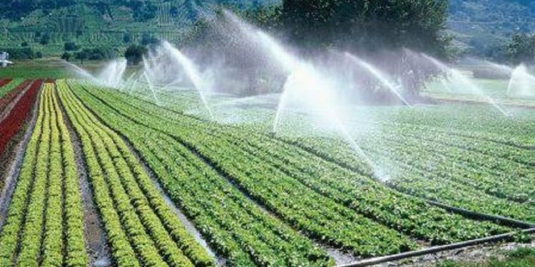 Hari ini, Senin (16/10/2023) diperingati sebagai Hari Pangan Sedunia. Terkait hal itu, Organisasi Pangan dan Pertanian Perserikatan Bangsa-Bangsa (FAO)