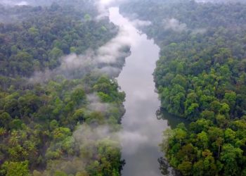 Indonesia Jadi Role Model Dunia untuk Ketahanan Iklim Berbasis Masyarakat