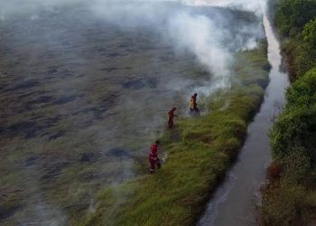 Taman Nasional Tesso Nilo Disterilkan dari Aktivitas Perambahan dan Perusakan