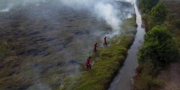 Taman Nasional Tesso Nilo Disterilkan dari Aktivitas Perambahan dan Perusakan