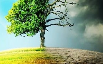 Bagaimana Indonesia akan Mengatasi Perubahan Iklim?