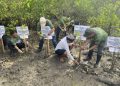 petani menanam mangrove di kawasan mangrove Desa Lubuk Kertang, Kecamatan Brandan Barat, Kabupaten Langkat, Sumatera Utara, Jumat (17/11/2023).(Yudi)