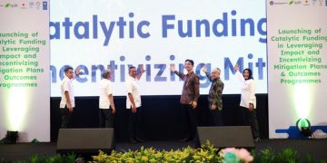 Indonesia Luncuran Catalytic Fund, Percepat Tercapainya NZE
