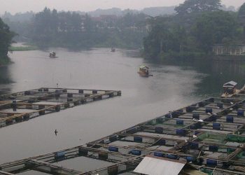 5000 Danau di Indonesia, Rumah Bagi Keanekaragaman Hayati yang Mulai Terancam