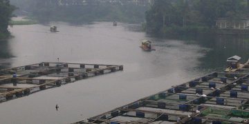 5000 Danau di Indonesia, Rumah Bagi Keanekaragaman Hayati yang Mulai Terancam