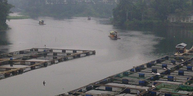 5000 Danau di Indonesia, Rumah Bagi Keanekaragaman Hayati yang Mulai Terancam