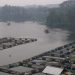 5000 Danau di Indonesia, Rumah Bagi Keanekaragaman Hayati yang Mulai Terancam