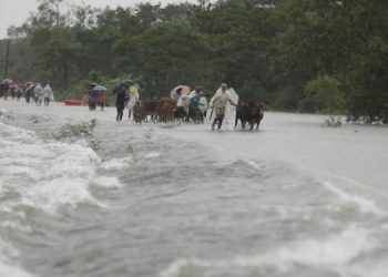Kota-kota Besar di Asia Hadapi Masalah Daya Tahan Lingkungan Hidup