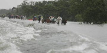 Kota-kota Besar di Asia Hadapi Masalah Daya Tahan Lingkungan Hidup