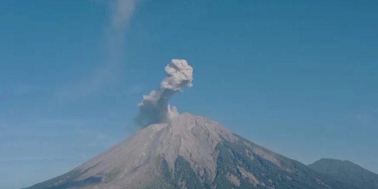 Gunung Semeru Erupsi 7 Kali, Kolom Abu Mencapai 800 Meter