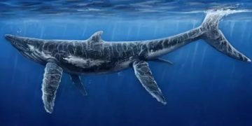 Fosil Naga Biru, Monster Penguasa Laut Jepang Berhasil Ditemukan