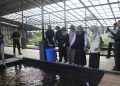 Sampah Sisa Makanan Dikembangkan Jadi Low Carbon Feed Ramah Lingkungan