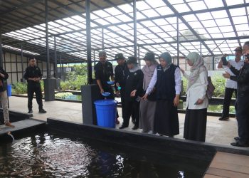 Sampah Sisa Makanan Dikembangkan Jadi Low Carbon Feed Ramah Lingkungan