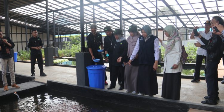 Sampah Sisa Makanan Dikembangkan Jadi Low Carbon Feed Ramah Lingkungan