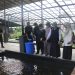 Sampah Sisa Makanan Dikembangkan Jadi Low Carbon Feed Ramah Lingkungan