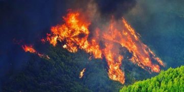 Kebakaran Hutan Berkonstribusi Besar Terhadap Perubahan Iklim
