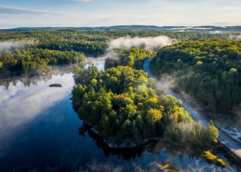 Citi GPS: Pendanaan Aksi Iklim Capai Kemajuan Besar