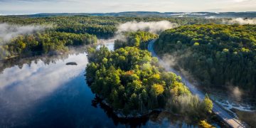 Citi GPS: Pendanaan Aksi Iklim Capai Kemajuan Besar