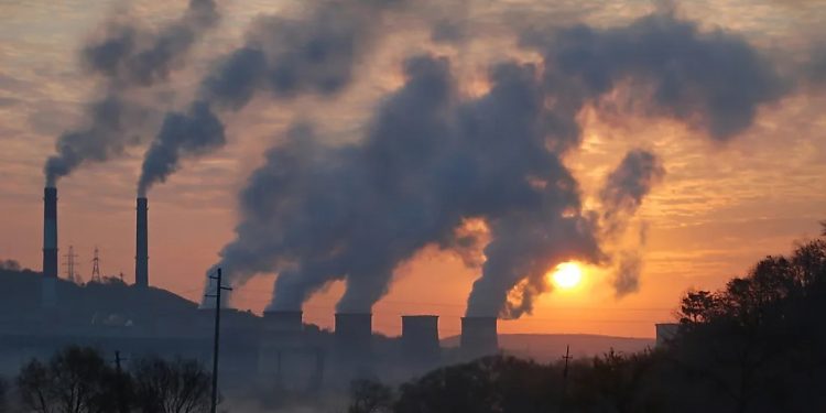 Ambisi Microsoft dan Chestnut, Hapus 3 Juta Ton Karbon di Atmosfer