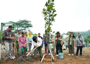 Mitigasi Iklim, Indonesia Tanam Pohon Serentak di 38 Provinsi