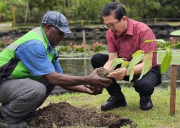 Presiden Direktur PT Freeport Indonesia, Tony Wenas melakukan penanaman pohon di area tailing MP21, Mimika, Sabtu (2/12). (ANTARA).