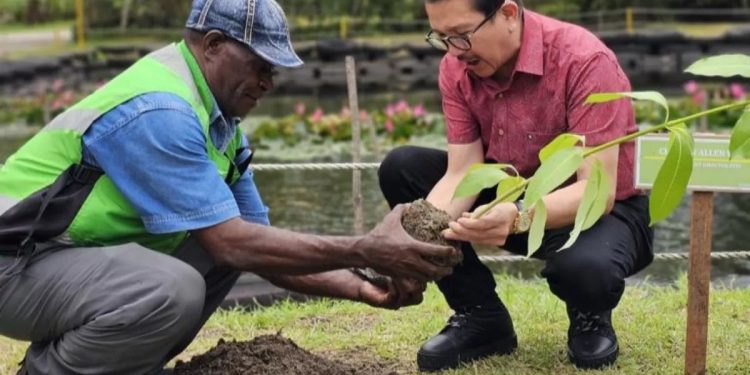 Presiden Direktur PT Freeport Indonesia, Tony Wenas melakukan penanaman pohon di area tailing MP21, Mimika, Sabtu (2/12). (ANTARA).