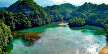 Mahasiswa IPB Hilang Saat Penelitian Flora dan Fauna di Pulau Sempu