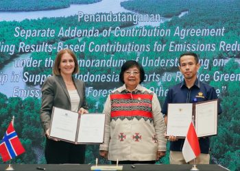 Norwegia Lanjutkan Kontribusi $100 Juta untuk FOLU Netsink Indonesia