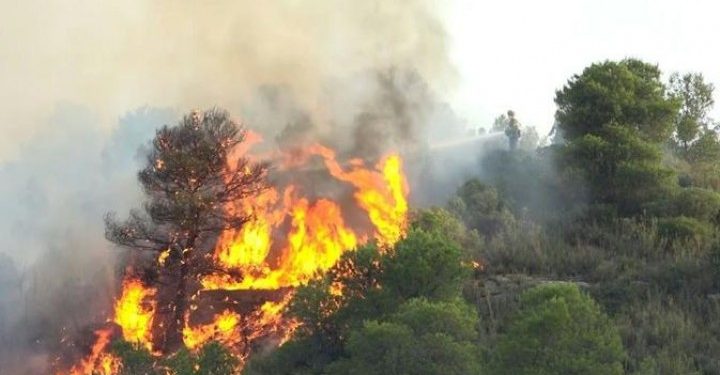 32 Titik Panas Potensi Kebakaran Hutan Terdeteksi di Kalimantan Timur