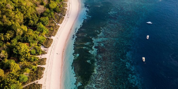 Limbah Merkuri Mengancam Populasi Ikan di Lautan