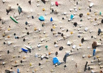 Penjuru Dunia Sudah Tercemar Mikroplastik, Apa Solusinya?
