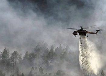 Dampak Perubahan Iklim, Kebakaran Hutan akan Lebih Sering Terjadi dengan Skala Besar