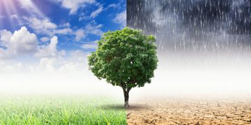 Perubahan Iklim Pengaruhi Berat Badan Bayi