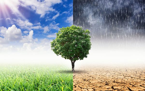 Perubahan Iklim Pengaruhi Berat Badan Bayi