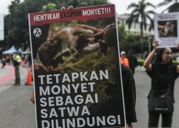 Aktivis Koalisi Primates Fight Back menggelar aksi perlindungan terhadap satwa monyet saat Hari Bebas Kendaraan Bermotor (HBKB) di kawasan Bundaran HI, Jakarta, Minggu (28/1/2024). (ANTARA)