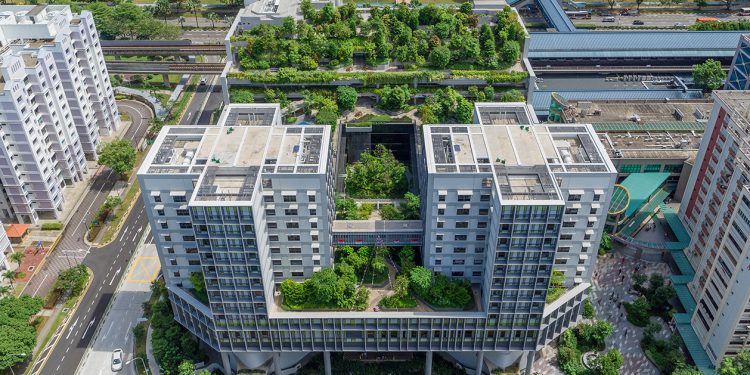 Jejak Karbon Urban Farming Lebih Besar Dibanding Pertanian Konvensional